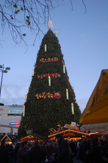 größter Weihnachtsbaum_1.jpg